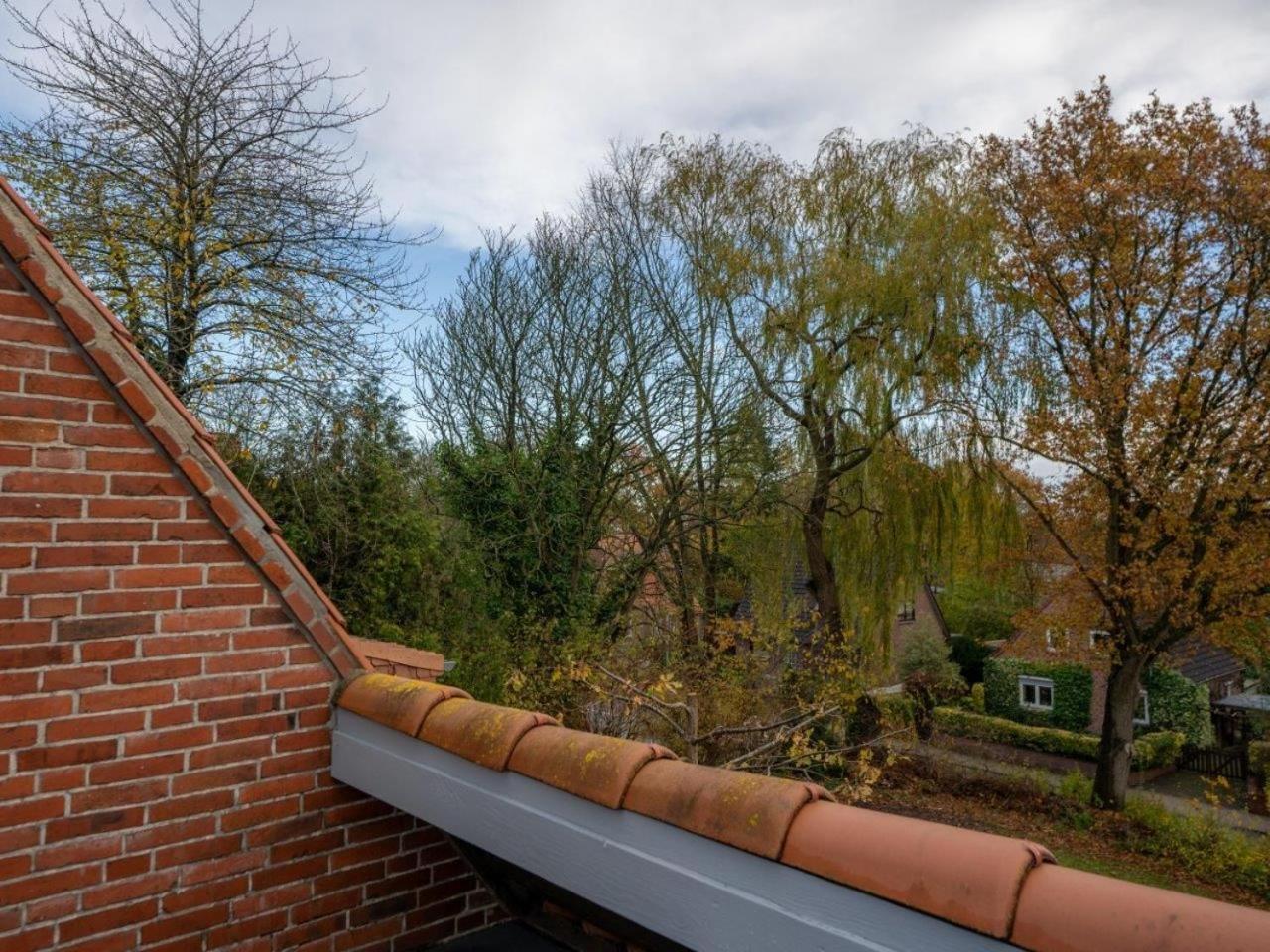 194 Fewo Dat Luetjehuus Mit Dachterrasse Im Ersten Stock Lütjenburg المظهر الخارجي الصورة